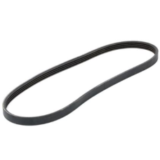 HOMOLOGACAO Correia Acd