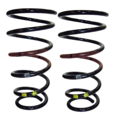 HOMOLOGACAO Mola Susp Ts