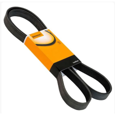 HOMOLOGACAO Correia Alt