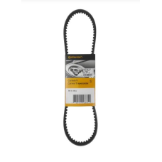 HOMOLOGACAO Correia Alt