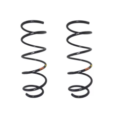 HOMOLOGACAO Mola Susp Dt