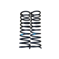 HOMOLOGACAO Mola Susp Ts