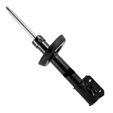 HOMOLOGACAO Amort Dt Lado Esquerdo