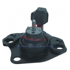 HOMOLOGACAO Coxim Motor