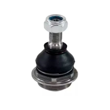 HOMOLOGACAO Pivo Inferior Dt Ld Le