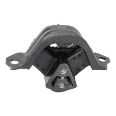 HOMOLOGACAO Coxim Motor