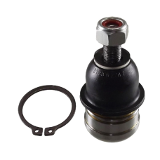 HOMOLOGACAO Pivo Inferior Dt Ld Le