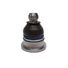 HOMOLOGACAO Pivo Inferior Dt Ld Le