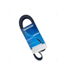 HOMOLOGACAO Correia Dh