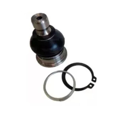 HOMOLOGACAO Pivo Inferior Dt Ld Le