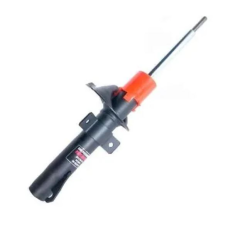 HOMOLOGACAO Amort Dt