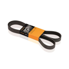 HOMOLOGACAO Correia Alt