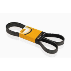 HOMOLOGACAO Correia Alt