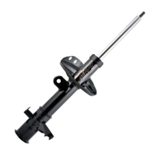 HOMOLOGACAO Amort Dt Lado Esquerdo