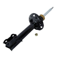 HOMOLOGACAO Amort Dt