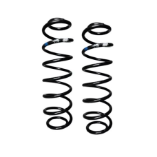 HOMOLOGACAO Mola Susp Ts