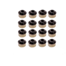 HOMOLOGACAO Retentor Valvula