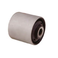 HOMOLOGACAO Bucha Braco Inf/sup Susp Ts