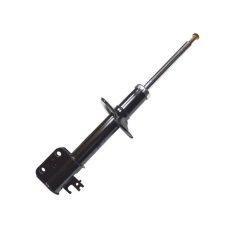 HOMOLOGACAO Amort Dt