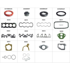 HOMOLOGACAO Junta Motor
