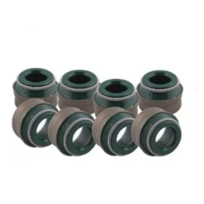 HOMOLOGACAO Retentor Valvula