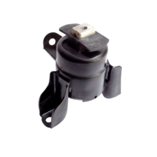 HOMOLOGACAO Coxim Motor