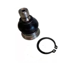 HOMOLOGACAO Pivo Inferior Dt Ld Le