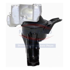 HOMOLOGACAO Coxim Motor