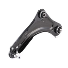 HOMOLOGACAO Leque Le Susp Dt