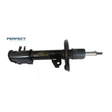 HOMOLOGACAO Amort Dt Lado Direito