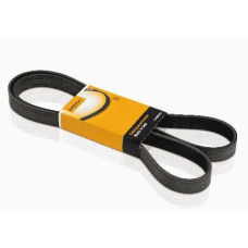 HOMOLOGACAO Correia Alt