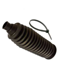 HOMOLOGACAO Coifa Setor Direcao