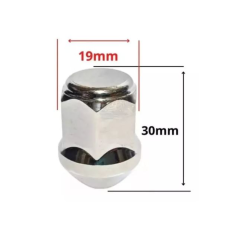 HOMOLOGACAO Porca Roda