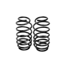 HOMOLOGACAO Mola Susp Dt