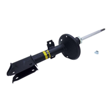 HOMOLOGACAO Amort Dt